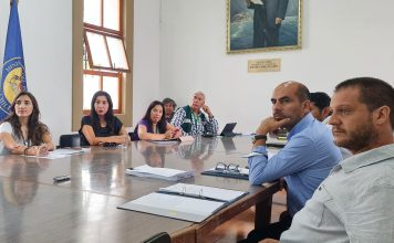 En la comuna de Camarones fue aprobado el Parque Fotovoltaico Celda Solar